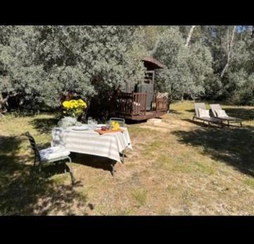 Roulotte / Tiny House Dans Les Alpilles Hotell Saint-Rémy-de-Provence Eksteriør bilde